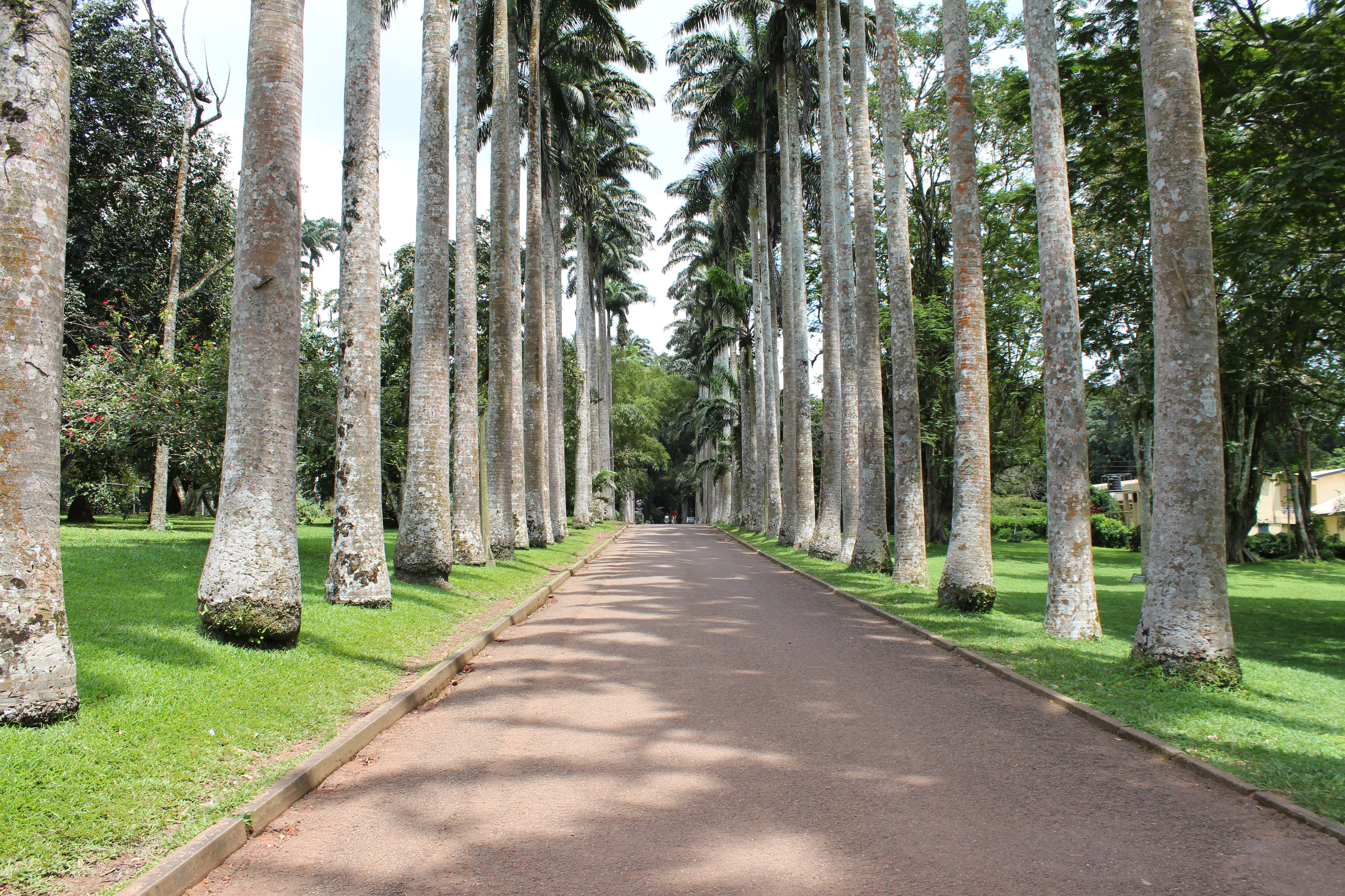Aburi Botanischer Garten